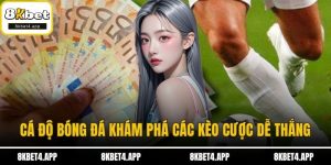Cá Độ Bóng Đá