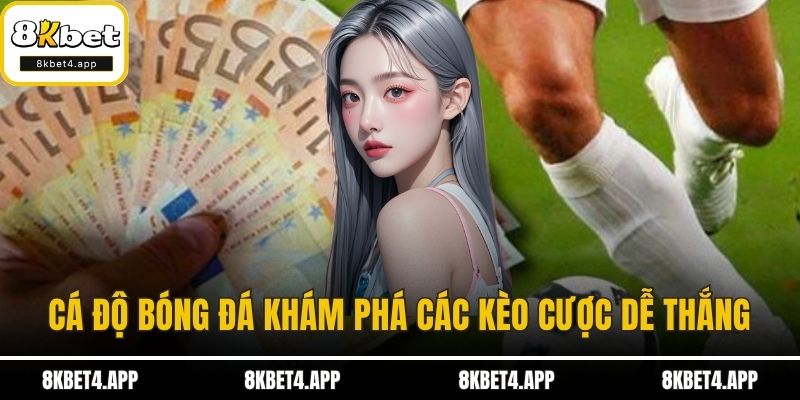 Cá Độ Bóng Đá