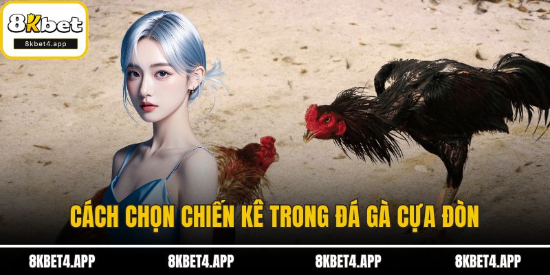 Đá Gà Cựa Đòn - Sân Chơi Đầy Kịch Tính và Bí Kíp Thành Công Cách chọn chiến kê trong đá gà cựa đòn