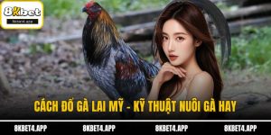 Cách đổ gà lai Mỹ
