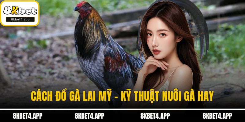 Cách đổ gà lai Mỹ