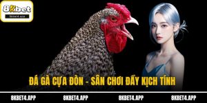Đá gà cựa đòn