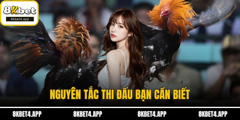 Luật Đá Gà Cựa Sắt - Quy Định Và Điều Kiện Thi Đấu Chuẩn Mực Nguyên tắc thi đấu bạn cần biết