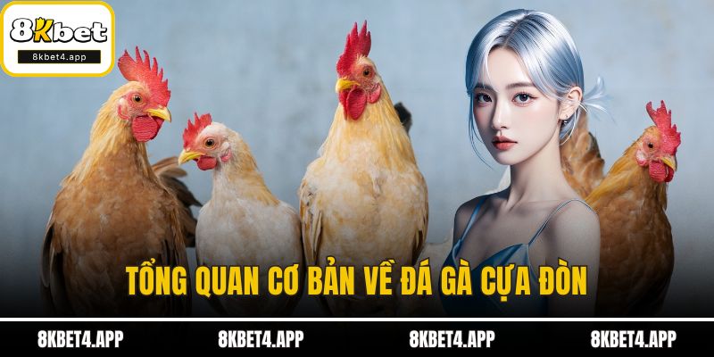 Đá Gà Cựa Đòn - Sân Chơi Đầy Kịch Tính và Bí Kíp Thành Công Tổng quan cơ bản về đá gà cựa đòn