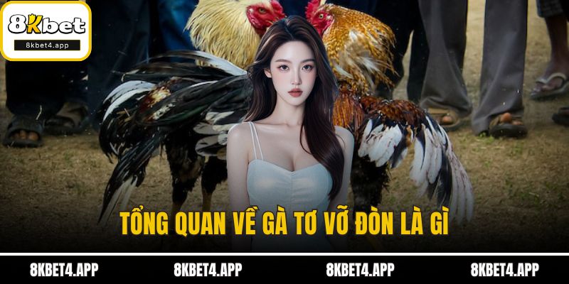 Gà Tơ Vỡ Đòn - Nguyên Nhân Và Cách Phòng Tránh Hiệu Quả Tổng quan về gà tơ vỡ đòn là gì